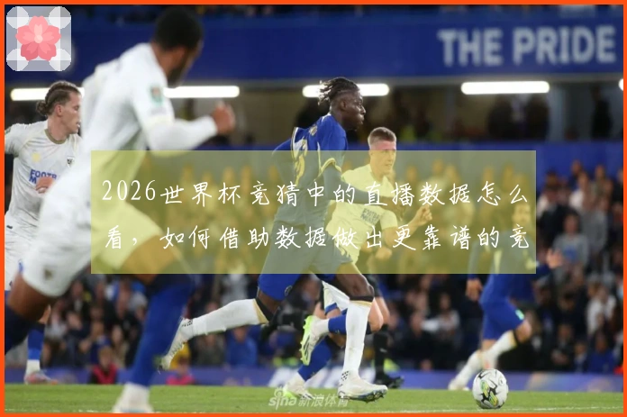 2026世界杯竞猜中的直播数据怎么看，如何借助数据做出更靠谱的竞猜判断